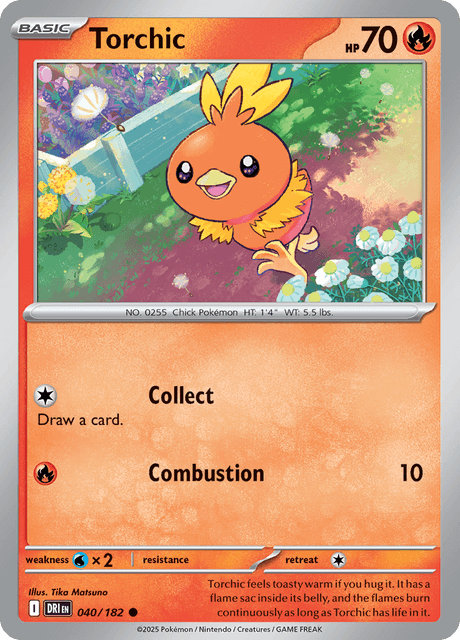 Torchic - DRI 040 -182